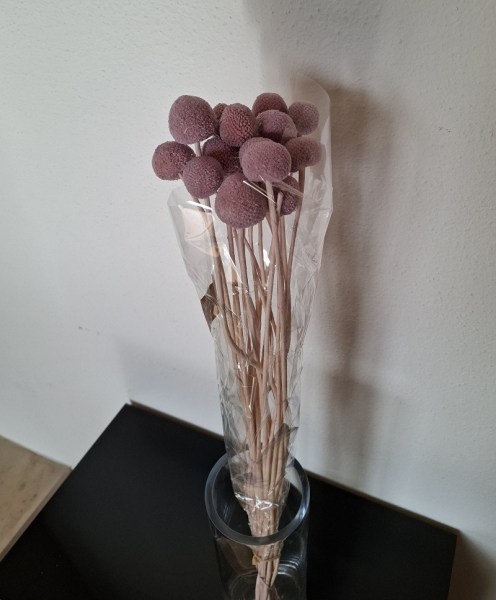 Billy button lavender